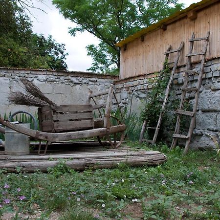 Апартаменты Notas Tuecsoek Vendeghaz Agyagosszergeny Экстерьер фото